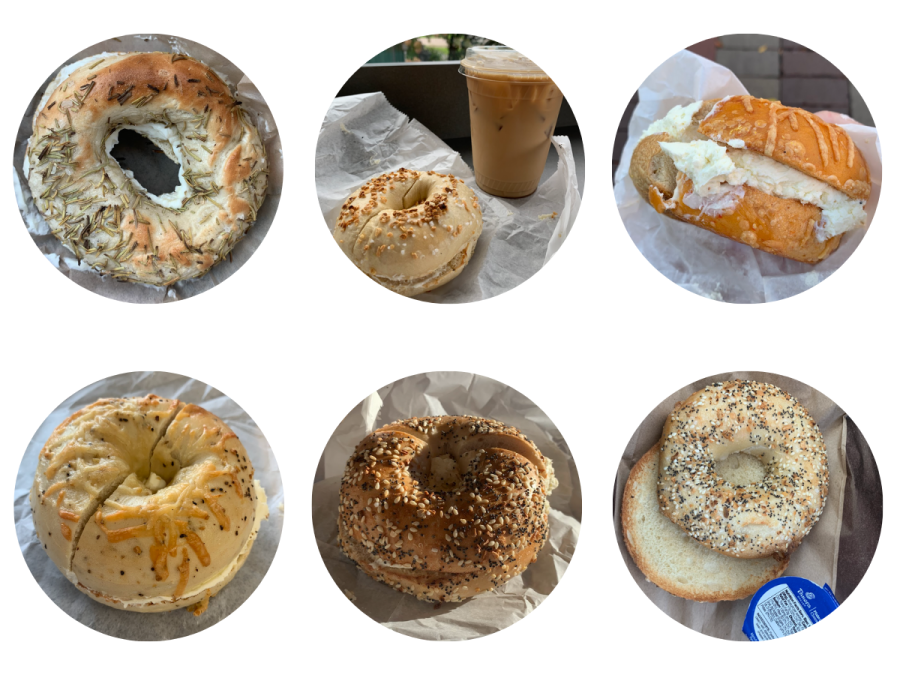 Burlington+Bagels