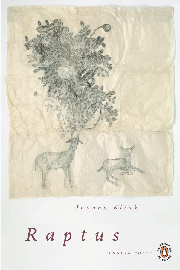 The cover of Joanna Klinks poetry book, Raptus.