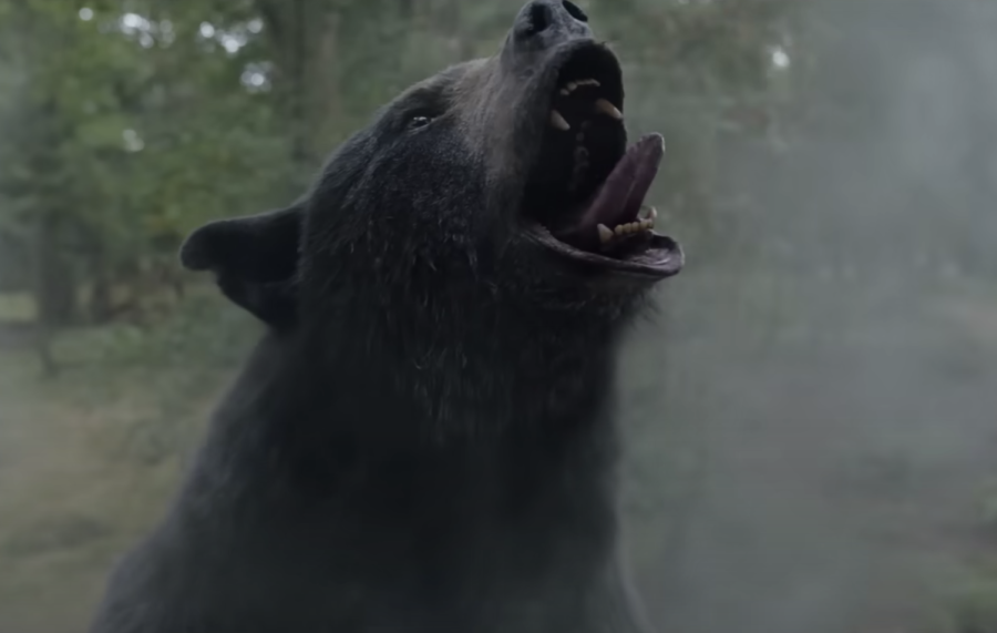 Screengrab from the Cocaine Bear official trailer.