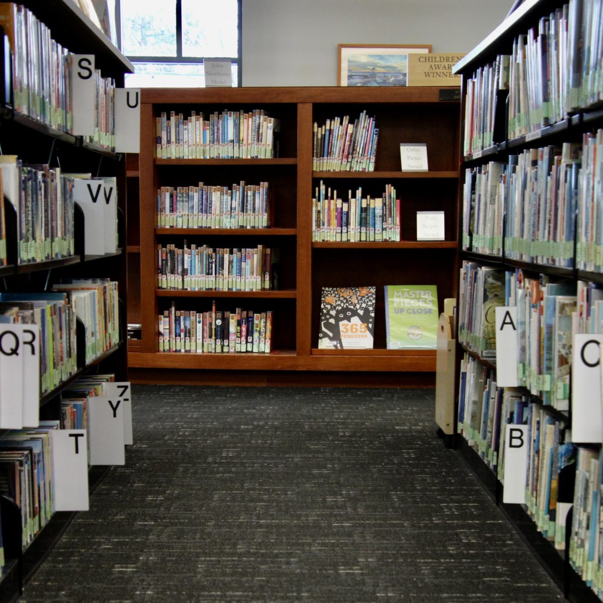 America's Literary Crisis is affecting you, too